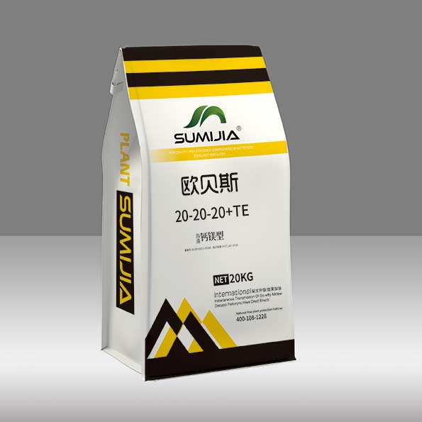 欧贝斯——均衡型